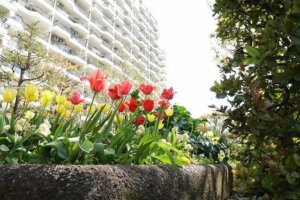旧耐震　中古マンション