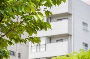 温泉 付き マンション
